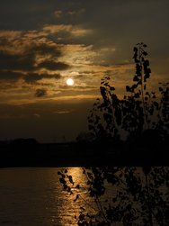 IMG_20241027_162900.jpg