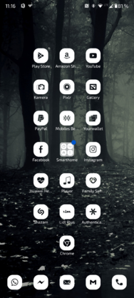Screenshot_20241029-111636_Microsoft Launcher.png