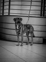 20241029_185617 (1).jpg