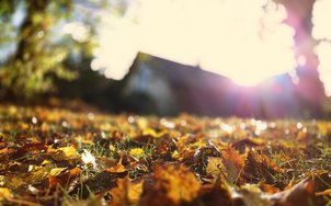20241021_093101420~2.JPG