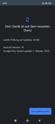 Screenshot_2024-10-30-04-54-42-026_com.android.vending.jpg