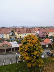 1000030184.jpg