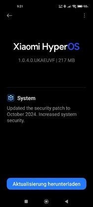 Screenshot_2024-10-30-09-21-24-650_com.android.updater.jpg