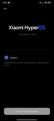 Screenshot_2024-10-30-12-52-24-836_com.android.updater.jpg
