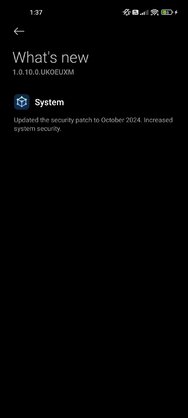 Screenshot_2024-10-30-13-37-52-313_com.android.updater.jpg