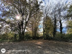 IMG_20241027_122320525_HDR.jpg