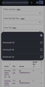 Screenshot_20241031_145344_Chrome.jpg