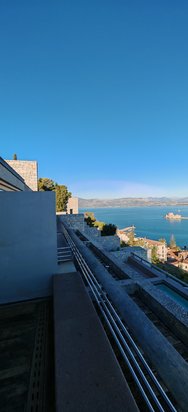 IMG_20241028_080800.jpg