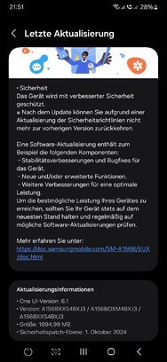 Screenshot_20241031_215133_Software update.jpg