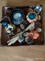 IMG_20241101_132017.jpg