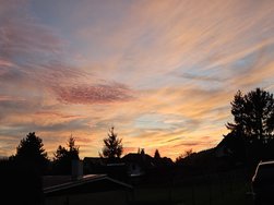 20241021_182214.jpg