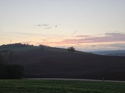 20241025_181402.jpg