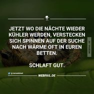post2.jpg
