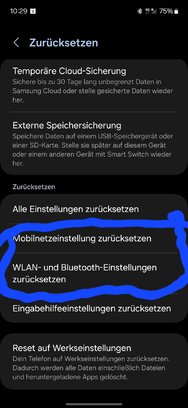 Screenshot_20241102_102908_Settings.jpg