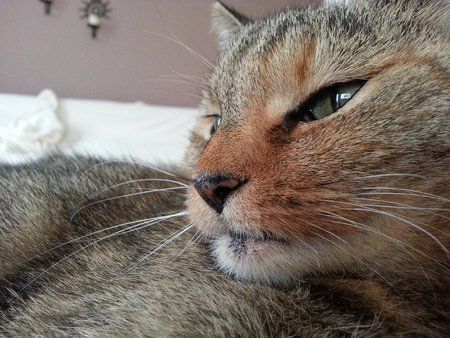 20121026_162039.jpg