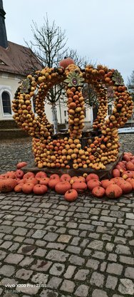 IMG_20241102_131129_031954.jpg