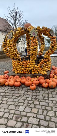 IMG_20241102_131156_023951.jpg