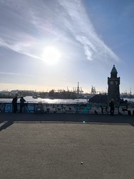 IMG_20241102_140714.jpg