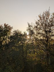 PXL_20241023_064111442.jpg