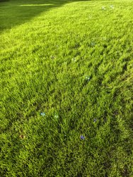 IMG_20241103_143617_3.jpg