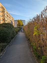 PXL_20241101_145513842.jpg
