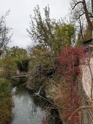 PXL_20241102_112325735.jpg