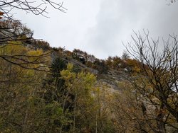 PXL_20241102_112533974.jpg