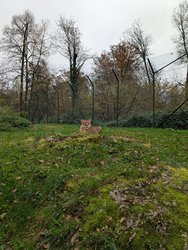 PXL_20241102_131355146.jpg