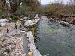 PXL_20241102_135736075.jpg