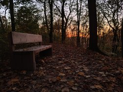 IMG_20241103_170509446.jpg