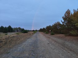 IMG_20240915_191539916.jpg
