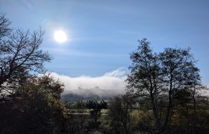 Sonne und Nebel.jpg