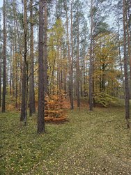 20241101_153157.jpg