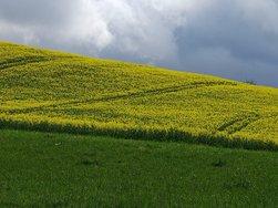 IMG_20240402_134311.jpg