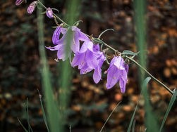 20241104_131428 (2).jpg