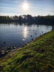 IMG_20241103_144316.jpg