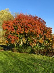 IMG_20241103_145518.jpg