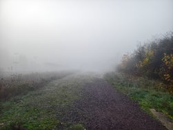 IMG_20241104_075208.jpg
