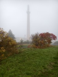 IMG_20241104_083124.jpg