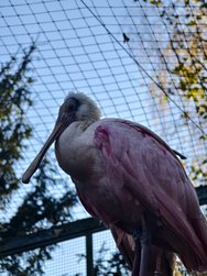 IMG_20241104_145708.jpg