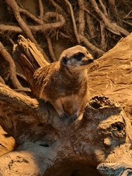 IMG_20241104_142728.jpg