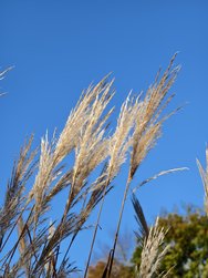 IMG_20241104_141403.jpg