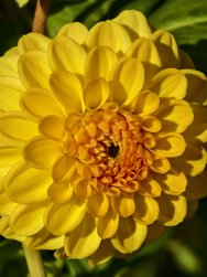 IMG_20241104_140439.jpg