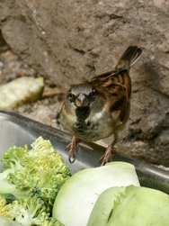 IMG_20241104_133752.jpg