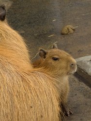 IMG_20241104_132714.jpg