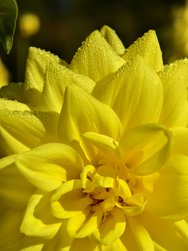 IMG_20241104_135958.jpg