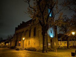 PXL_20241104_212652788.NIGHT.jpg