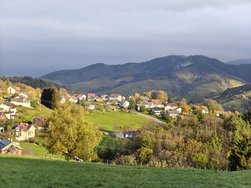 IMG_20241102_085149700_HDR.jpg