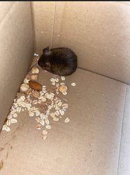 img_143.jpg