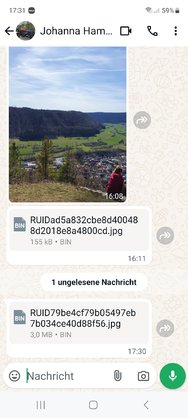 Screenshot_20241106_173156_WhatsApp.jpg